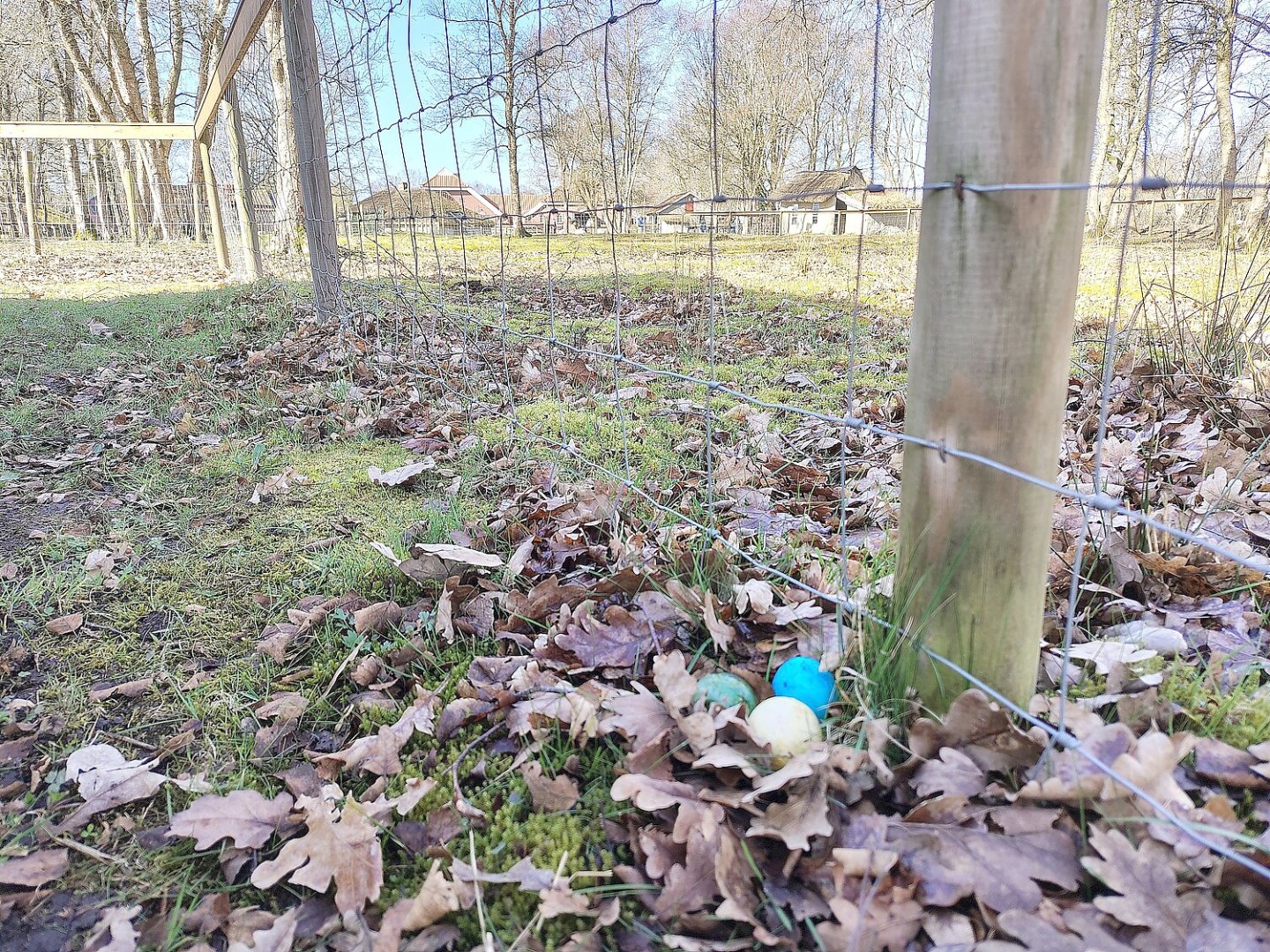 Bunte Ostereier zwischen alten Hütten - Bild 8