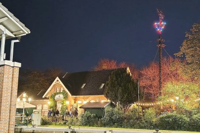 Maibäume - Zeichen dörflicher Individualität - Bild 13