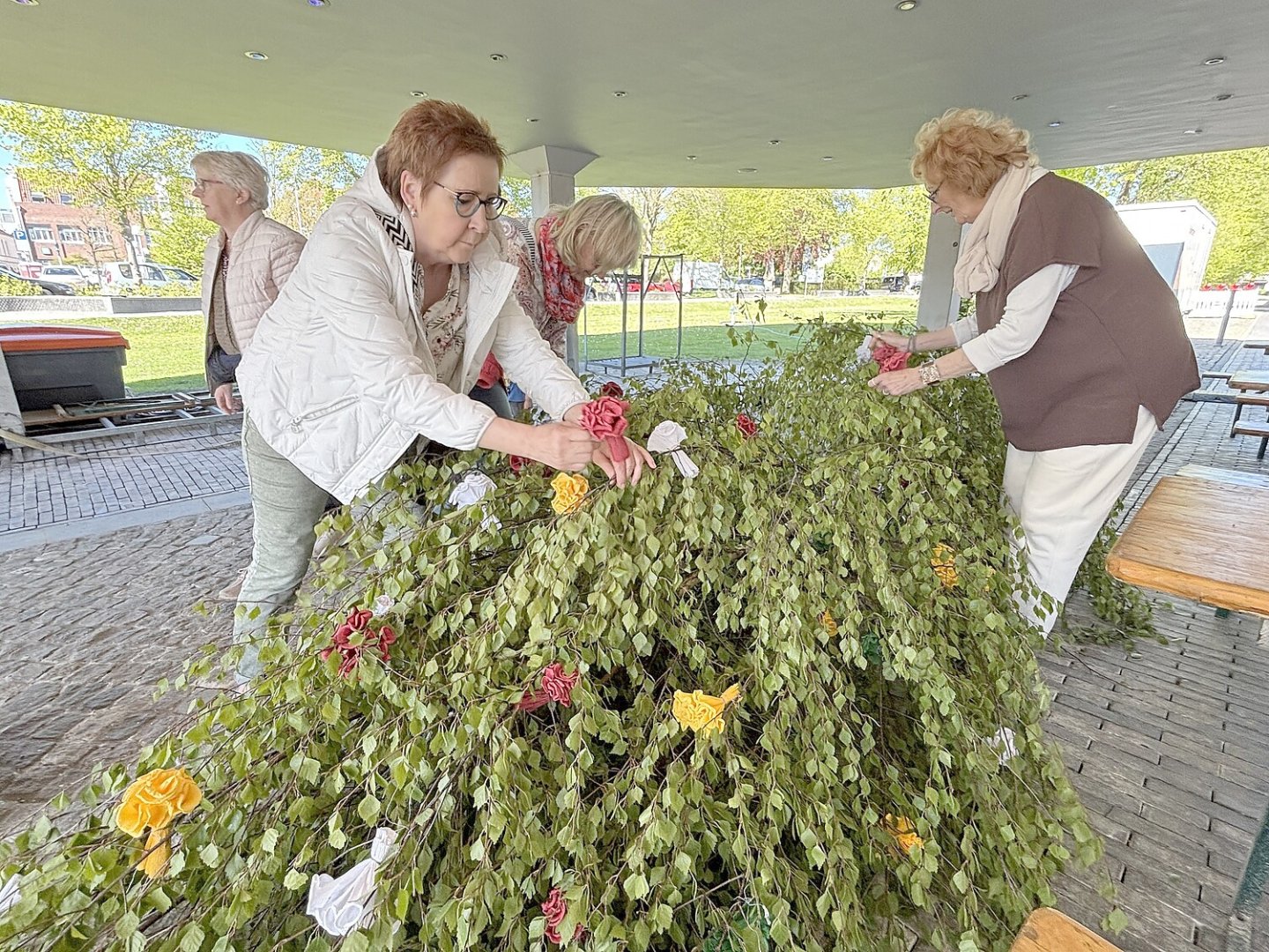 Aurich hat wieder einen Maibaum - Bild 3