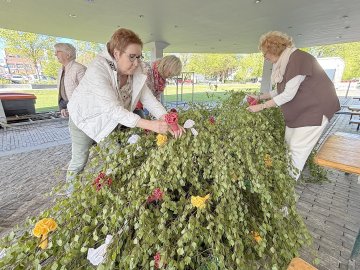Aurich hat wieder einen Maibaum - Bild 3