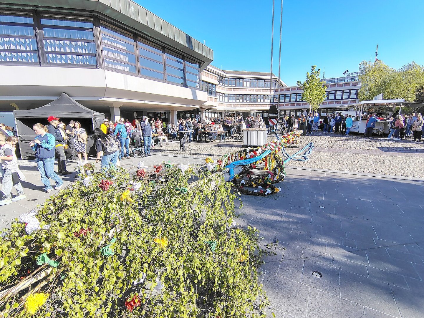 Aurich hat wieder einen Maibaum - Bild 8