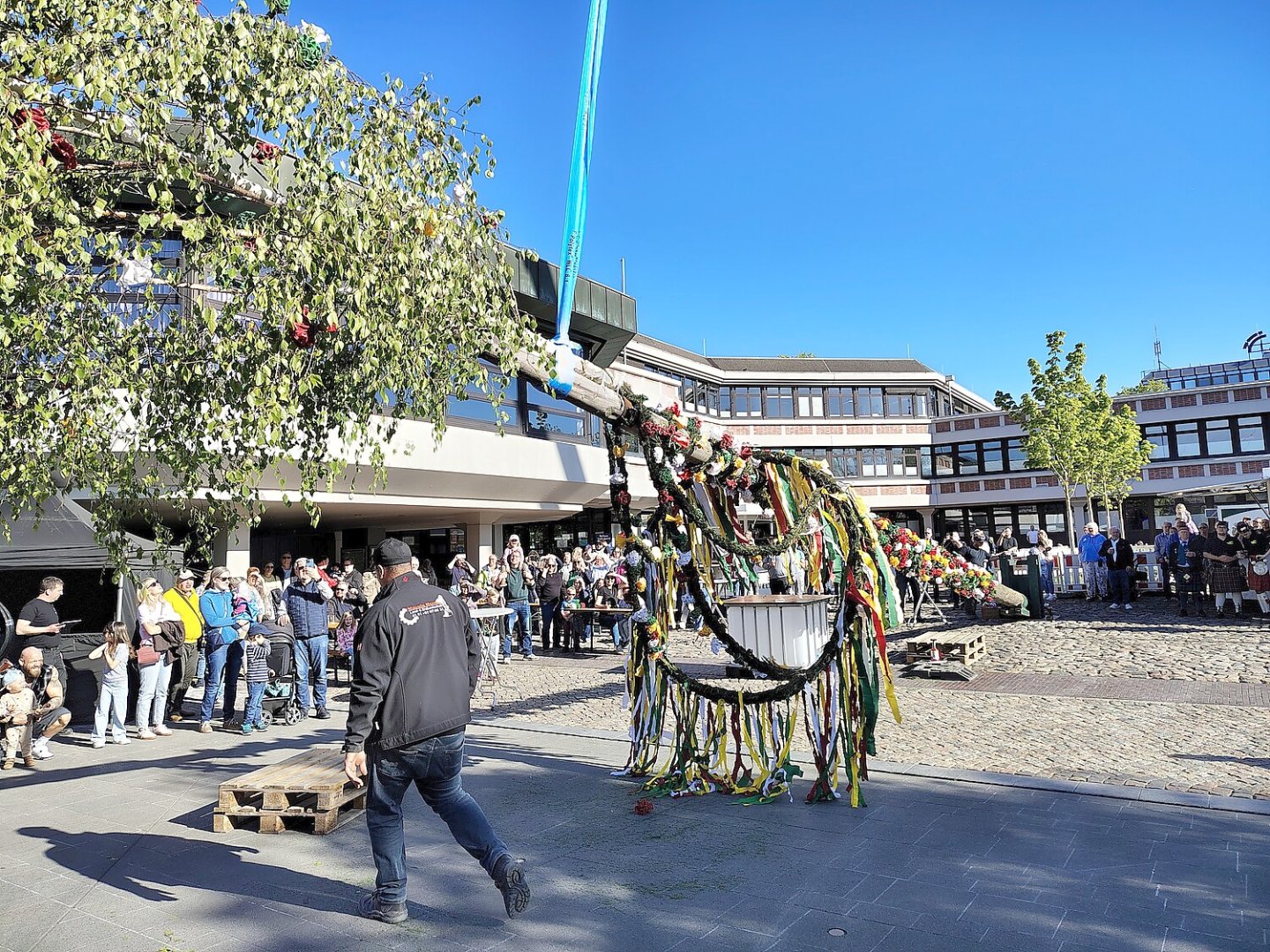 Aurich hat wieder einen Maibaum - Bild 9