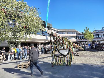 Aurich hat wieder einen Maibaum - Bild 9