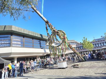 Aurich hat wieder einen Maibaum - Bild 10