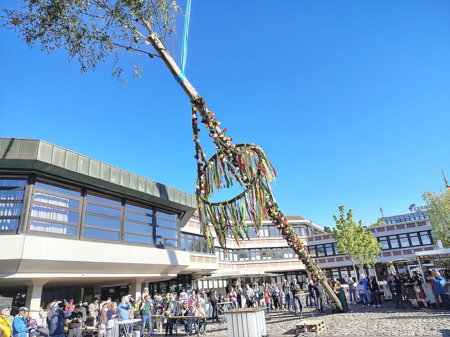 Aurich hat wieder einen Maibaum - Bild 11