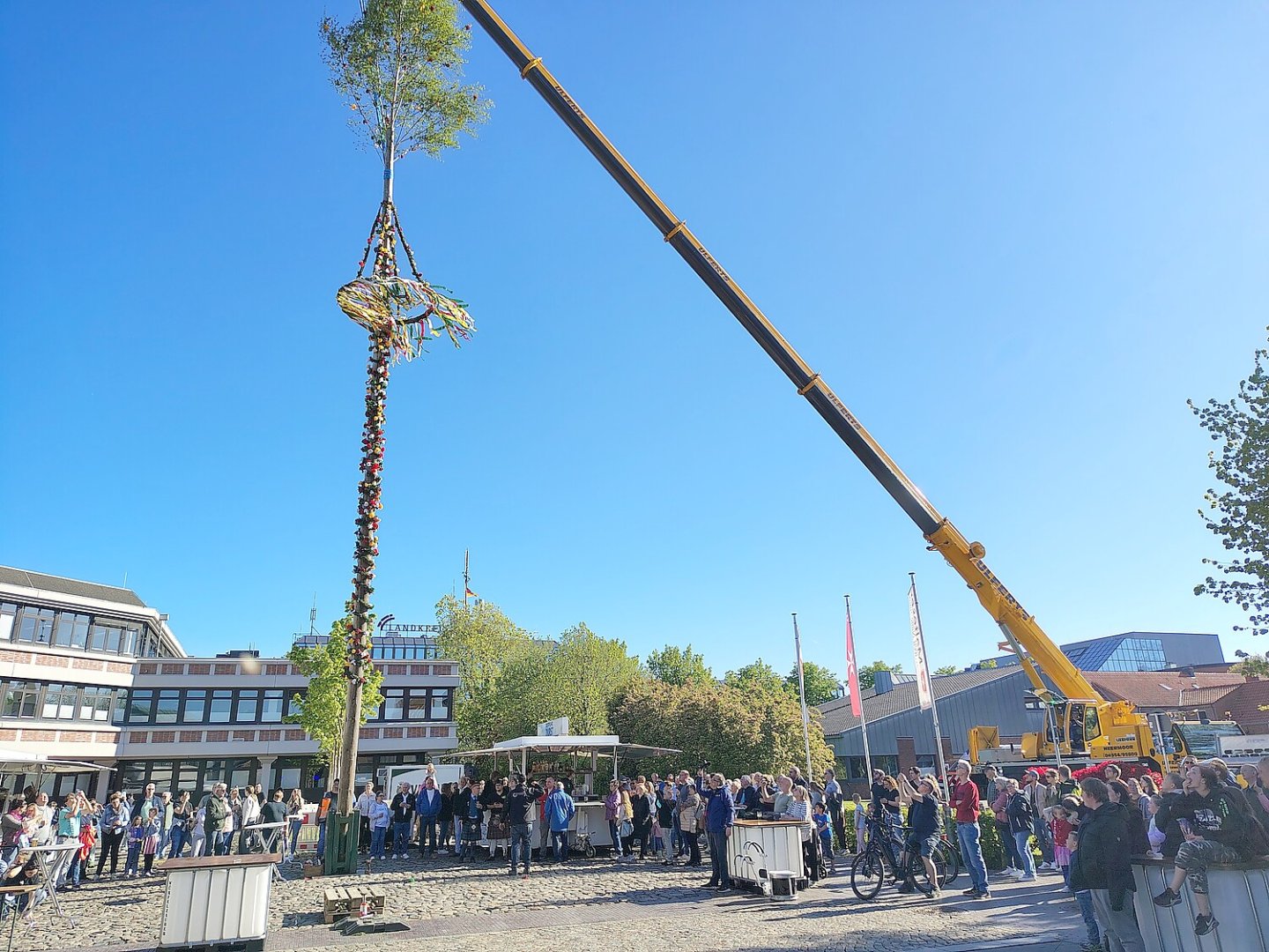 Aurich hat wieder einen Maibaum - Bild 12