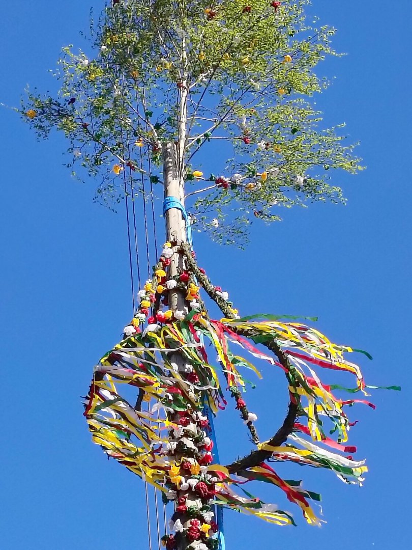 Aurich hat wieder einen Maibaum - Bild 16