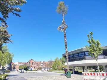 Aurich hat wieder einen Maibaum - Bild 17