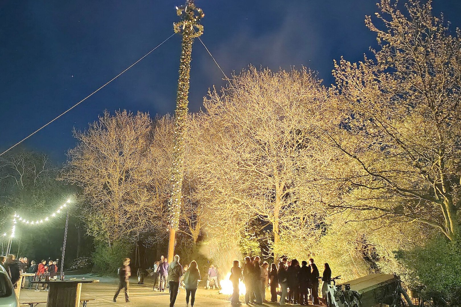 Maibäume - Zeichen dörflicher Individualität - Bild 14
