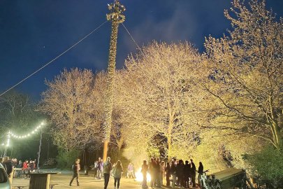 Maibäume - Zeichen dörflicher Individualität - Bild 14