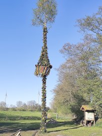 Maibäume – das sind die Bilder aus Ostfriesland - Bild 20