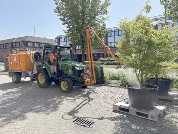 Tag der offenen Tür Auricher Rathaus - Bild 2