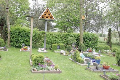 Kleintierfriedhof in West-Victorbur - Bild 2