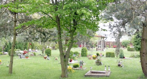 Kleintierfriedhof in West-Victorbur - Bild 3