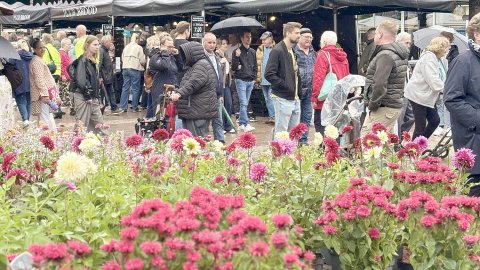 Das sind die schönsten Bilder vom Hollandmarkt in Aurich - Bild 2