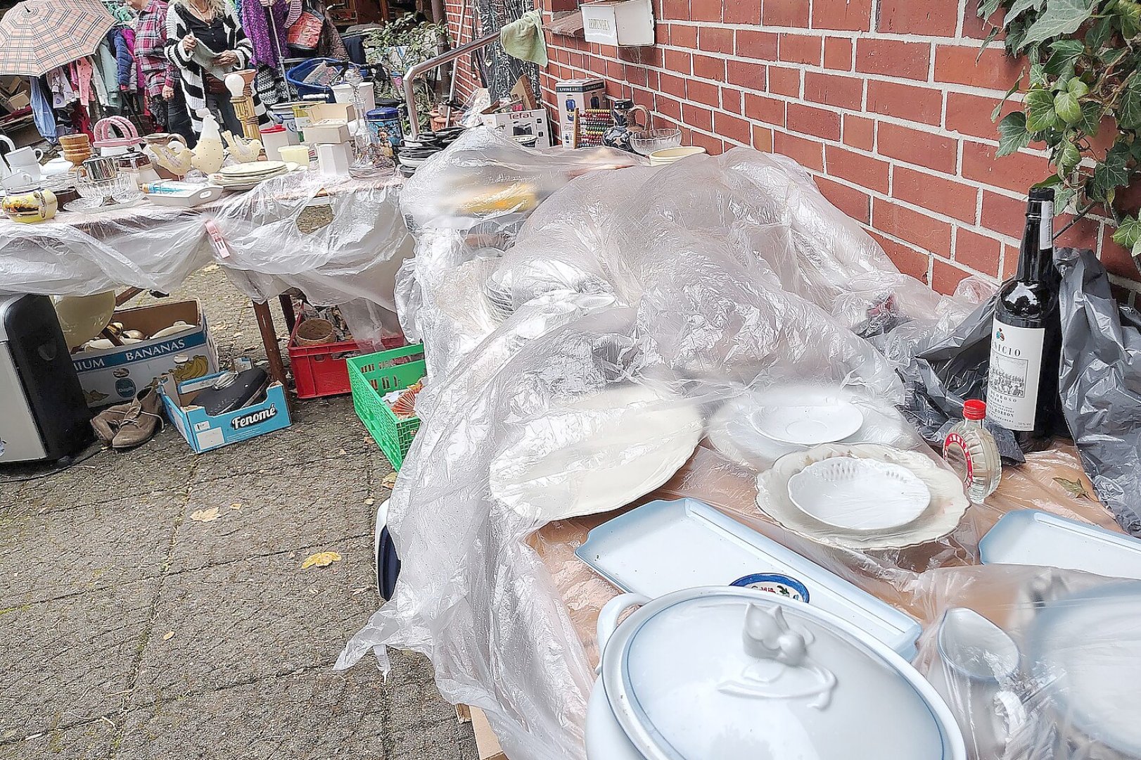 Schnüstern auf drei Kilometern Länge - Bild 1