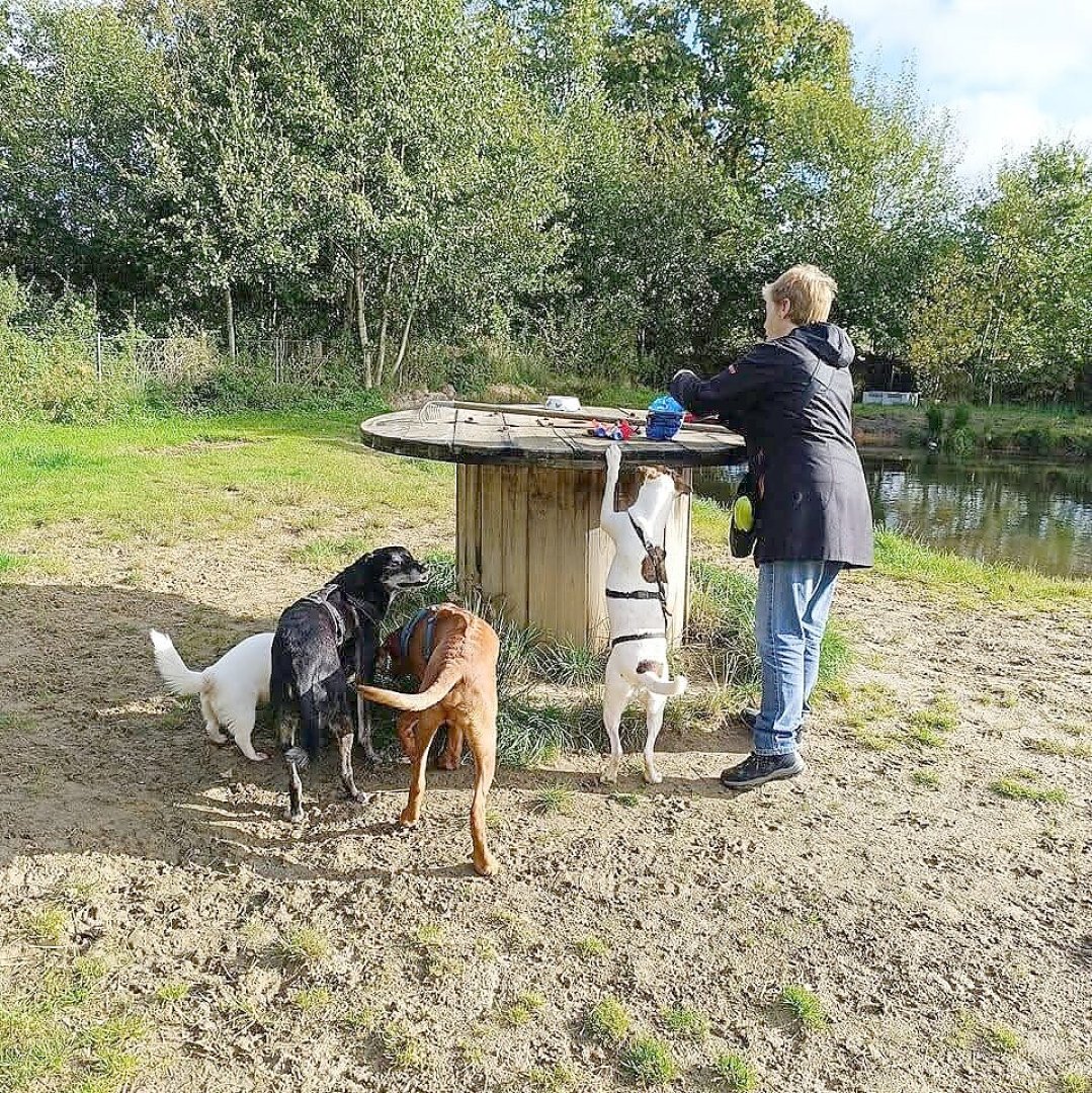Die schönsten Hunde-Fotos aus Ostfriesland (Galerie II) - Bild 11