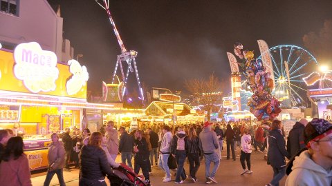Mittwochabend auf dem Gallimarkt - Hier sind die Bilder - Bild 2