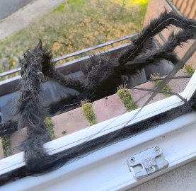 So dekoriert Ostfriesland zu Halloween – die Leserfotos - Bild 3