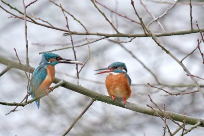 Die besten Leserfotos des Jahres 2013 - Bild 4