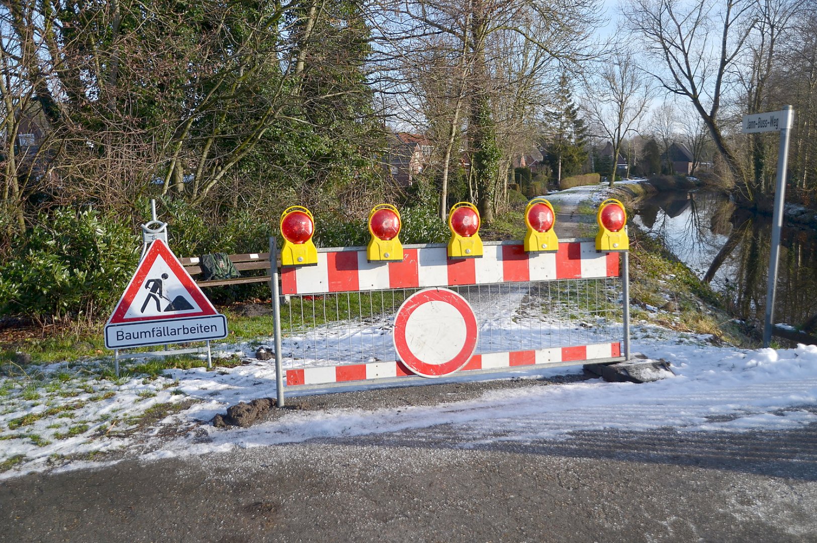 Bäume am Ridding müssen weichen - Bild 1