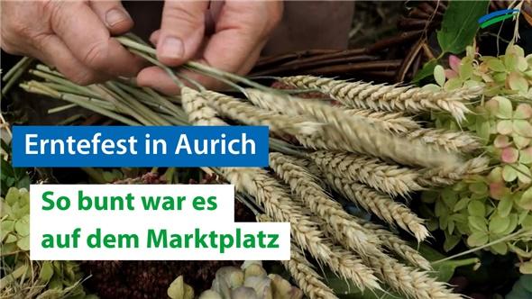 Erntefest in Aurich | So bunt ist die Erntezeit