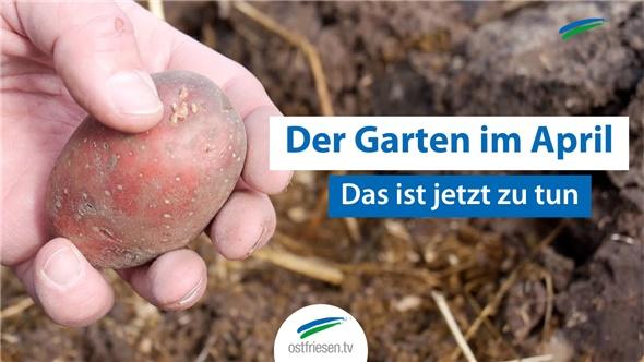 Der Garten im April: Diese Arbeiten stehen jetzt an