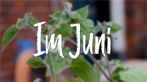 Das ist im Juni im Garten zu tun 