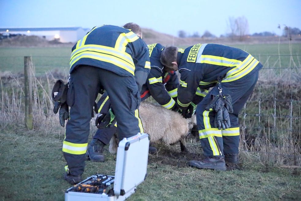 Einsatzkräfte der Feuerwehr befreiten das Tier aus seiner Notlage.