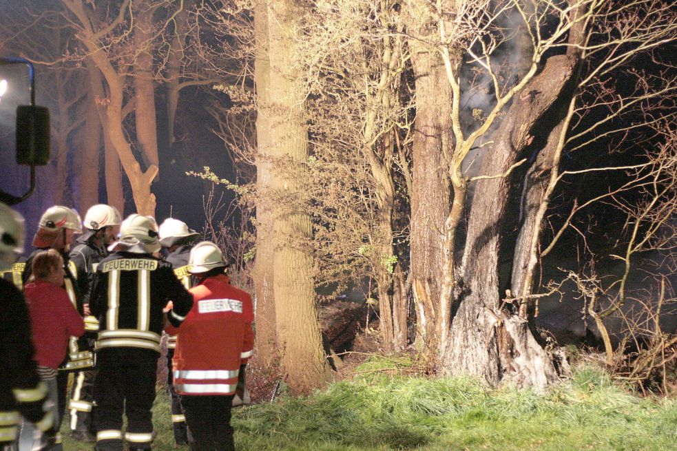 In Moorlage hatte das Feuer eines Flächenbrandes auf einem Baum übergriffen. Bild: Feuerwehr