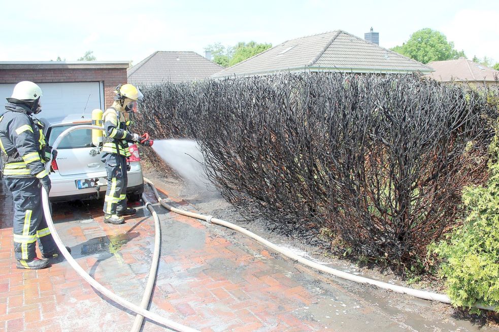 Die Einsatzkräfte löschten den Heckenbrand. Foto: Feuerwehr