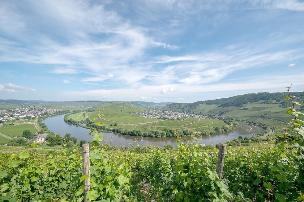 So sieht es eigentlich an der Mosel aus. Seit der Flut-Katastrophe fällt diese Urlaubsregion jedoch aus. Foto: DPA