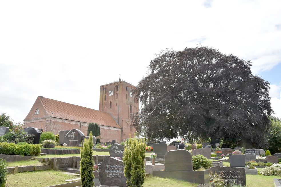 Die kapitale uralte Blutbuche auf dem Marienhafer Friedhof benötigt keine Baumschutzsatzung. Sie steht auch ohne ein solches Regelwerk unter Schutz. Foto: Thomas Dirks