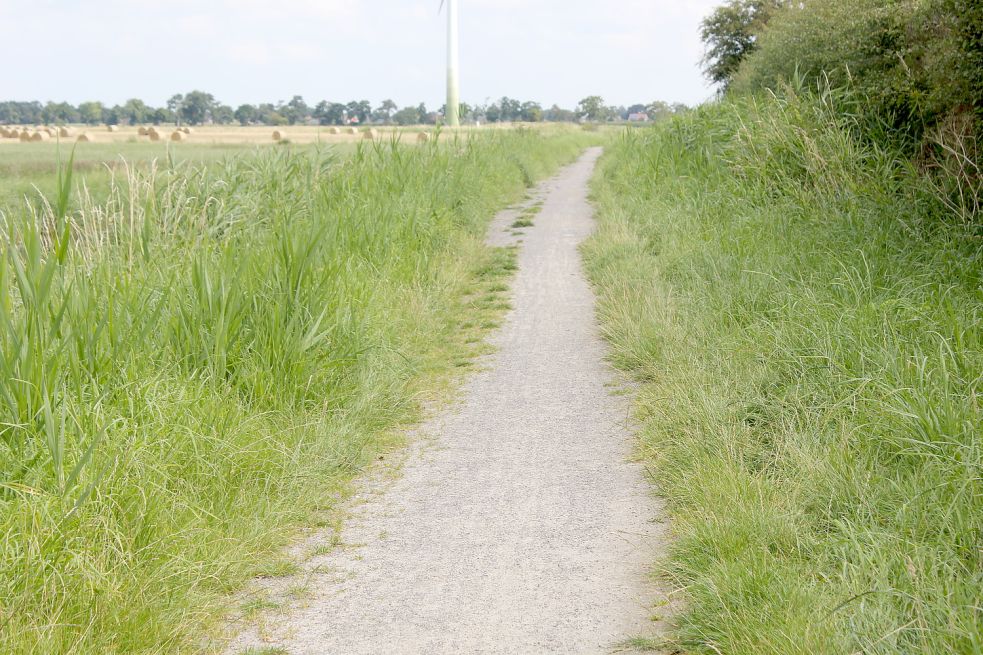 Der Wanderweg am Moordorf-Abelitz-Kanal wächst von den Seiten her mit Gras zu. Nach den Regenfällen haben sich zudem Löcher gebildet. Foto: Karin Böhmer