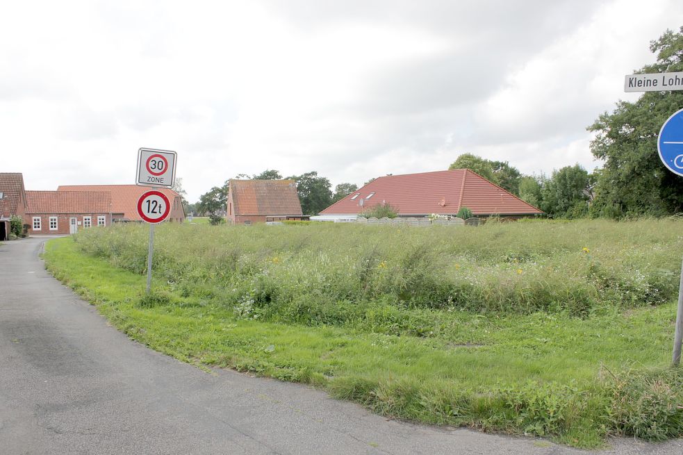 Auf der Fläche Hof Harms wollen BfB und Grüne neben der geplanten Straße auch Sozialwohnungen unterbringen. Foto: Karin Böhmer