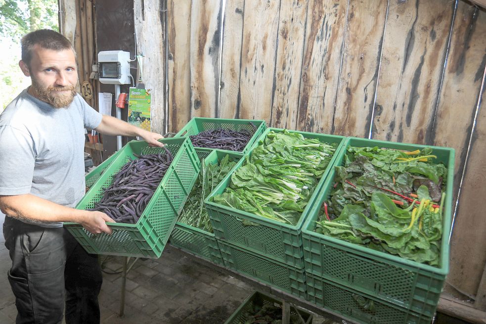 Die Ernte auf dem Solawi-Hof in Wrisse wird unter den Mitgliedern aufgeteilt. Beim Utopie-Camp soll ausgelotet werden, wie das Gemeinwohl für die Menschen der Region ausgehend von Bauernhöfen verbessert und erweitert werden kann. Archivfoto: Romuald Banik