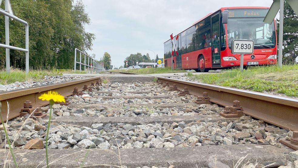 Rollen hier bald wieder Personenzüge? In Südbrookmerland zeichnet sich dagegen heftiger Widerstand ab. Foto: Holger Janssen