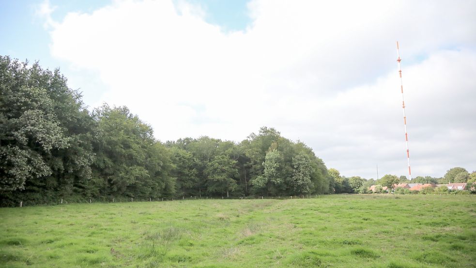 Das Wäldchen in Popens ist in Privatbesitz und soll nach dem Willen der Eigentümer zum Friedwald werden. Foto: Romuald Banik
