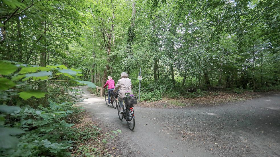Das Eschener Gehölz bei der Handwerkskammer ist durchzogen von Radwegen. Archivfoto: Romuald Banik