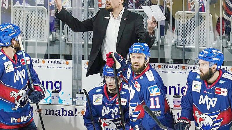 Trainer Pavel Gross ist mit den Adler Mannheim ein heißer Meisterschaftsfavorit. Foto: Uwe Anspach/dpa