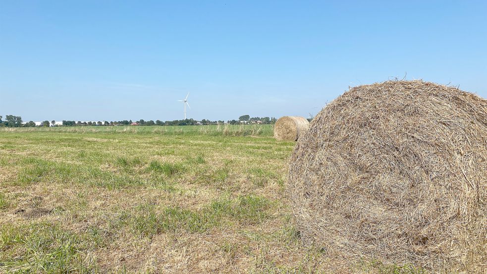 Freie Sicht und Heuballen: Damit könnte bald Schluss sein, wenn Bauamtsleiter Konke Wienekamp mit seiner Einschätzung recht behält. Foto: Holger Janssen