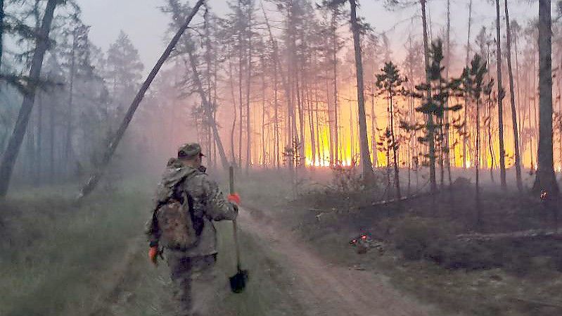 Freiwillige löschen einen Waldbrand in der Republik Sacha, auch bekannt als Jakutien, im Fernen Osten Russlands. Foto: Ivan Nikiforov/AP/dpa