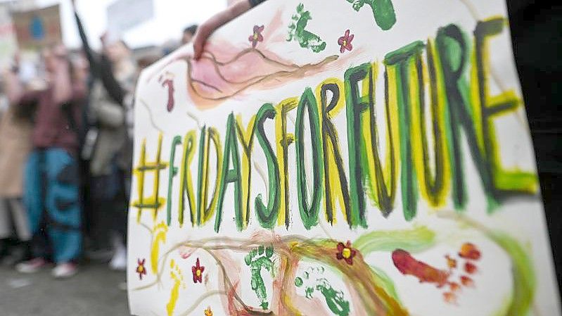 Schild bei einer "Fridaysforfuture"-Demo im Frühjahr 2019. Foto: Sebastian Gollnow/dpa