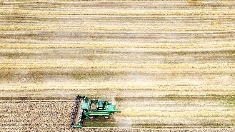 Getreideernte in Großbritannien. Foto: Gareth Fuller/Press Association/dpa