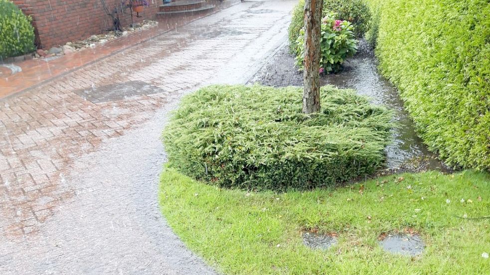 Immer wieder steht bei Regen der Garten von Klaus Böker in Münkeboe unter Wasser. Schuld, so sagt er, sind Umbauten auf dem Nachbargrundstück. Foto: privat