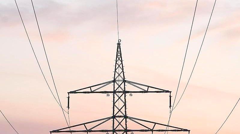 Die Energieversorger haben im vergangenen Jahr rund 230.000 Verbrauchern in Deutschland wegen unbezahlter Rechnungen den Strom abgestellt. Foto: Marcus Brandt/dpa