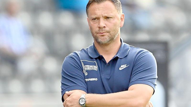 Chefcoach Pal Dardai braucht bei Hertha BSC den nächsten Sieg. Foto: Soeren Stache/dpa-Zentralbild/dpa