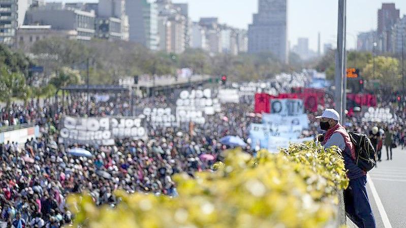 Demonstranten fordern Arbeitsplätze und Sozialleistungen. Foto: Natacha Pisarenko/AP/dpa