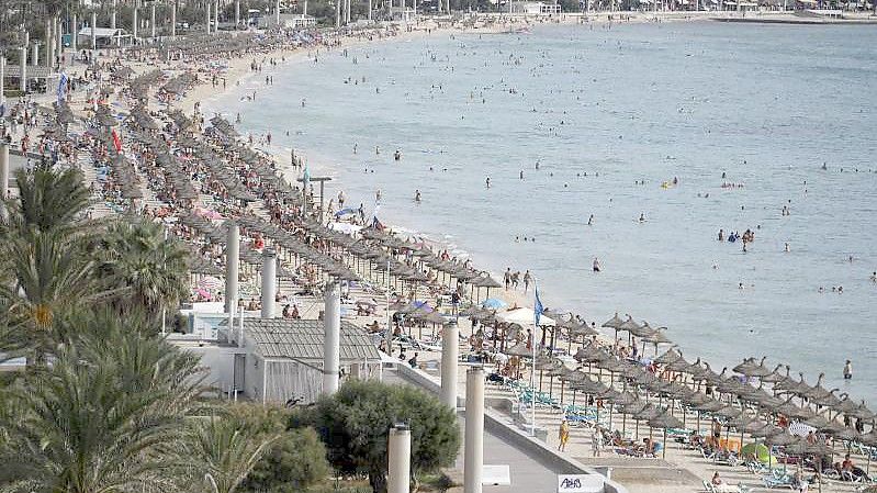 Urlauber entspannen am Strand von Arenal auf Mallorca. Foto: Clara Margais/dpa