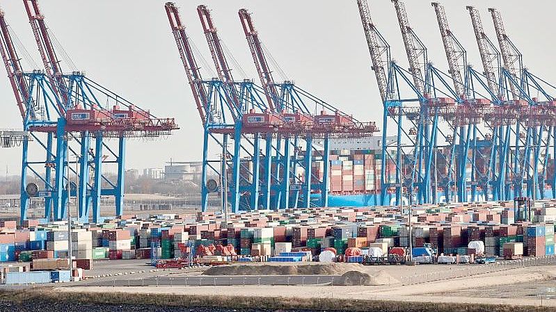 Kräne der Hamburger Hafen und Logistik AG (HHLA) und Container stehen im Hamburger Hafen. Das ifo-Institut hat seine Wachstumsprognose für die deutsche Wirtschaft gesenkt. Foto: Georg Wendt/dpa